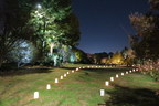 Magical Exhibition Illuminates NCSU Arboretum in November