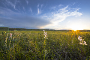 9 out of 10 Canadians Are Happier When They Spend Time in Nature