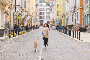 4 Tips for Traveling with Your Furry Friend