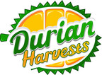 Plantations International Creates Durian Harvests Brand in Malaysia