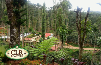 CLR Roasters coffee plantations high mountains of Matagalpa, Nicaragua. CLR Roasters coffee plantations high mountains of Matagalpa, Nicaragua.