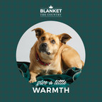 Give a little warmth to animals in need with Urban Barn