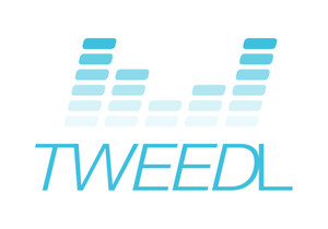 Tony Abrahams, Former CFO of Combs Enterprises Announces the Launch of TWEEDL Where The People Select The Next Hot Artists