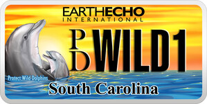 Colorful 'Protect Wild Dolphins' License Plate To Be Replaced By Decal in South Carolina