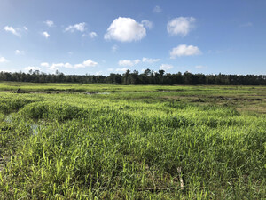 The Earth Partners announces the new Tarkington Bayou Mitigation Bank