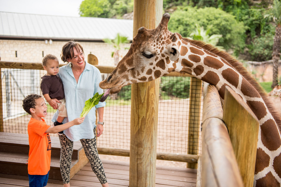 San Antonio Zoo Applauds Efforts to Bring Back Geoffrey