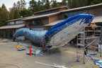 Monterey Bay Aquarium Builds Life-Sized Blue Whale Art Installation Made from Discarded Single-Use Plastic to Raise Awareness About Ocean Pollution