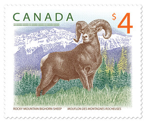 Rocky Mountain bighorn sheep scales high-value stamp