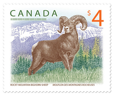 Timbre d'un mouflon des montagnes Rocheuses (Groupe CNW/Postes Canada)