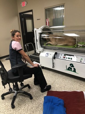 Woodhaven Animal Hospital Veterinary Technician Jessica Paulovich treating their patient, Keta, in the Hyperbaric Chamber.