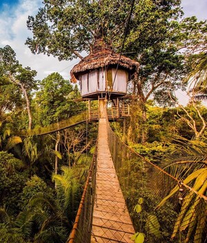 Rainforest Cruises Offers Luxury Bucket List Adventure Package Including Amazon River Cruise, Treehouse Lodge and Flights