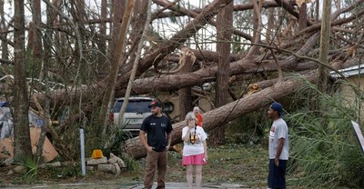 Car Smashed By Trees