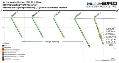 Figure 2: RC Drillhole Section (CNW Group/Bluebird Battery Metals)