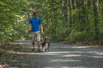 As of may 17th 2019, dogs will be allowed in most of Qubec's National Park in certain sectors and under certain conditions. (CNW Group/Socit des tablissements de plein air du Qubec)
