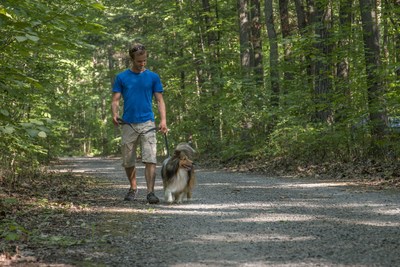 As of may 17th 2019, dogs will be allowed in most of Québec's National Park in certain sectors and under certain conditions. (CNW Group/Société des établissements de plein air du Québec)