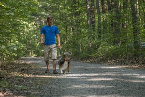 Parcs nationaux du Québec - Un accès encadré pour les chiens au printemps prochain