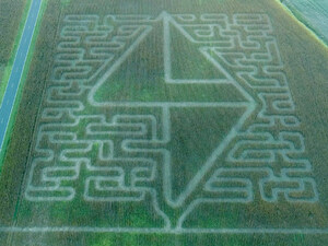 Taylor Bank Makes New Logo Reveal In Local Cornfield