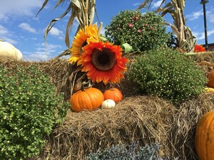 Berkshire Hathaway HomeServices, California Properties Covina Branch Announces Sponsorship of 2018 Harvest Festival