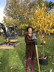 New trees for Parc Notre-Dame-de-Grâce