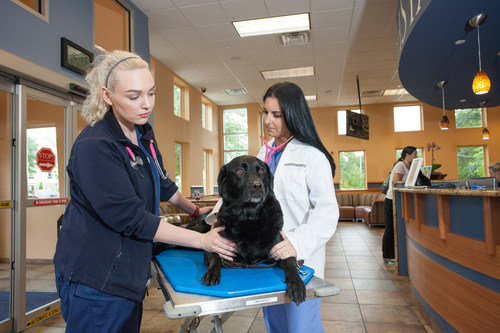 NorthStar VETS advises everyone to be aware of Leptospirosis, and to consider having their family veterinarian vaccinate at-risk pets to prevent spread of the disease.