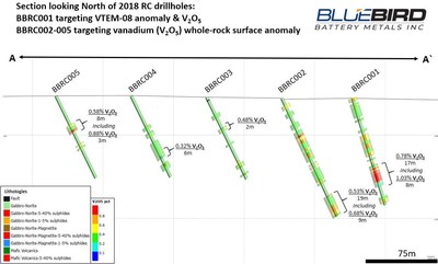 Figure 2: Canegrass Property – VTEM-08 Drill Section Looking North (CNW Group/Bluebird Battery Metals)