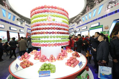Apples exhibited at the Expo
