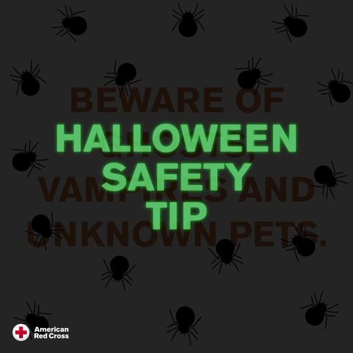 Halloween Safety Tip: Beware of ghosts, vampires and unknown pets.