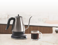 Speed and Versatility Drive Countertop Water Kettle Trend with Style as a  Plus