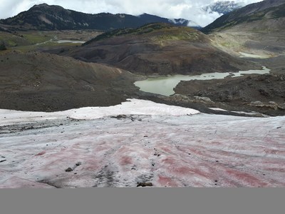 Watermelon Snow (CNW Group/Genome British Columbia)