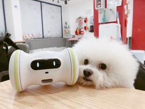 A Robotic Companion for Your Pet: VARRAM Introduces an Artificial Intelligence-Powered Pet Fitness Robot