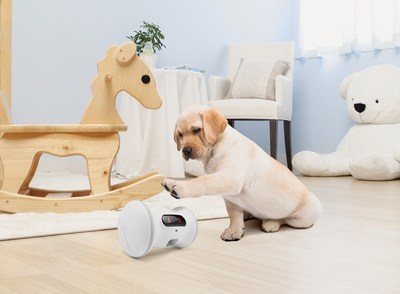robot for pets