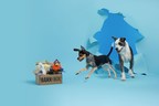BARK selects NetSuite to help make dogs happy