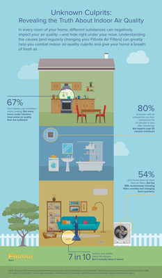 Common Indoor Air Quality Culprits