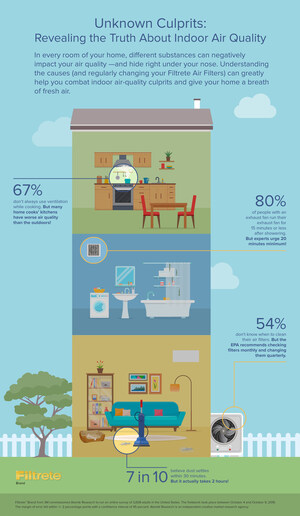 Common Indoor Air Quality Culprits