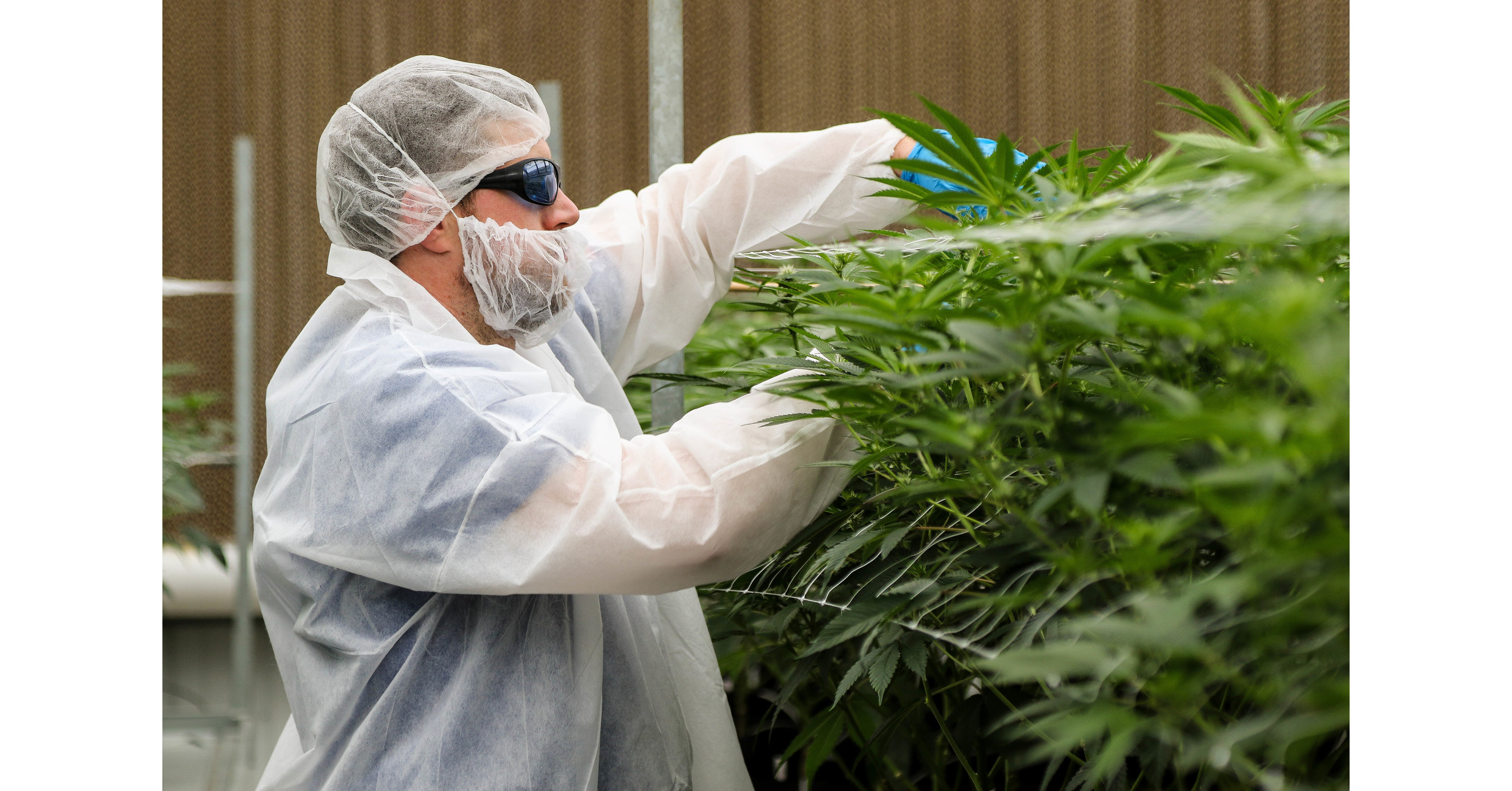 Cresco Labs Expands Arizona Footprint With Acquisition Of Cultivation
