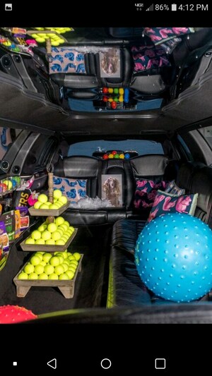 Museum of Dog Kicks Off National Instagram Tour in Dallas