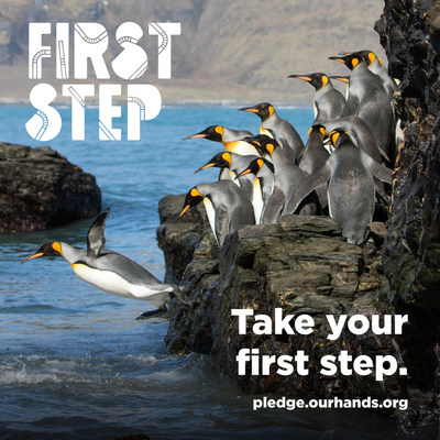 Twenty-two U.S. aquariums  in 17 states, all members of the Aquarium Conservation Partnership, launched their #FirstStep campaign today (November 1, 2018), urging individuals, businesses and local governments to take a “first step” to reduce plastic pollution by refusing or regulating single-use plastic straws they don’t need. The aquariums reach more than 25 million visitors a year. Photo courtesy Aquarium Conservation Partnership