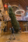 Arrival of 35-foot Fraser fir signals the start of Christmas at Biltmore