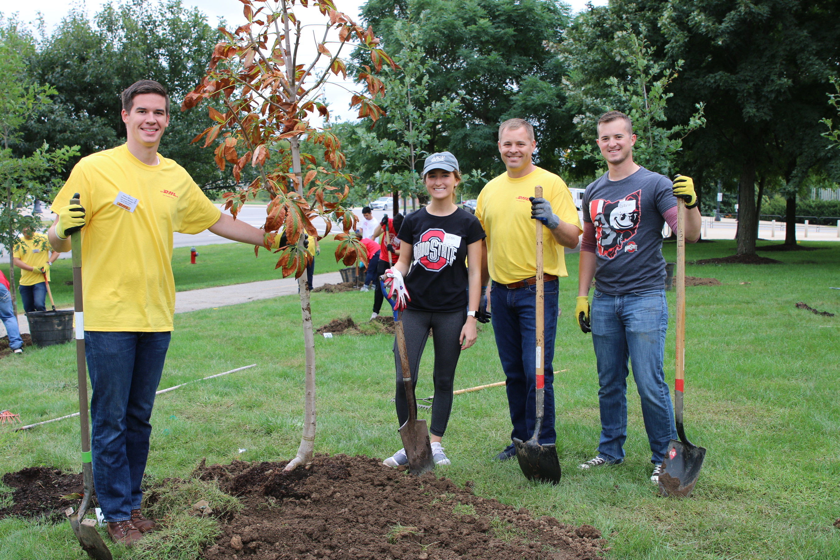 DHL Supply Chain and The Ohio State University partnered to plant 30 trees near the Schottenstein Center. DHL Supply Chain made a contribution to purchase and care for 30 new trees to help support urban forestry in the Columbus area.