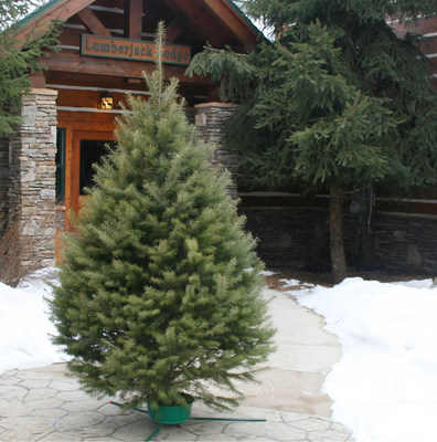 Hallmark fresh-cut Christmas tree