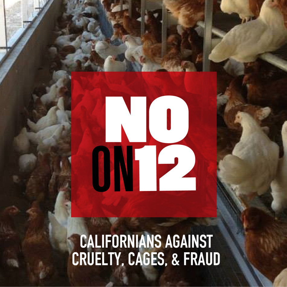 Humane Farming Association Condemns Passage Of Prop 12