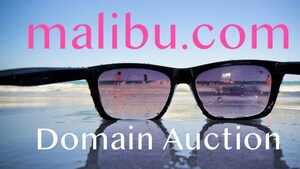 Malibu: a Million Dollar Domain Name For a Billion Dollar Beach