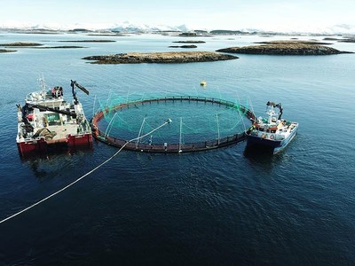 Marine Harvest’s Brattholmen salmon farm, Norway (PRNewsfoto/Marine Harvest)