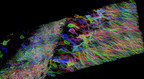 Fixstars Announces The Release of Expansion Microscopy Studio Including The World's Fastest Deconvolution Software