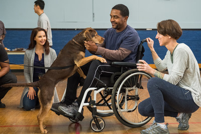Sony Pictures Entertainment's "A Dog's Way Home" Teams Up With Humane Society Of The United States To Aid Veterans Through Human-Animal Bond. Photos by: James Dittiger