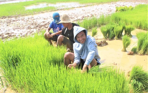 GK Enchanted Farm fights poverty in the Philippines with NetSuite