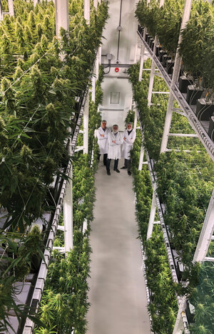 Université de Moncton partners with the Government of Canada, Genome Atlantic, Genome Canada, New Brunswick Innovation Foundation, and Organigram to advance cannabis research and increase productivity