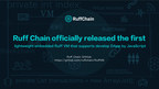 Ruff Chain officially released the first lightweight, embedded Ruff VM which supports the development of DApp in JavaScript