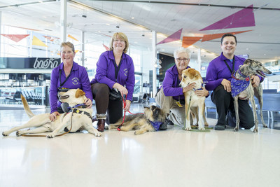 Passengers at Montréal-Trudeau have been enjoying a new entertaining and soothing experience at the airport since the beginning of October. Composed of 30 dogs, the YUL Pet Squad, has been formed by Aéroports de Montréal (ADM) to offer moments of companionship to travellers who can admire the animals and speak with their handlers in the terminal building (CNW Group/Aéroports de Montréal)