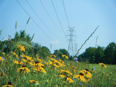 ITC maintains a habitat of native prairie grasses and shrubs in the company’s transmission corridor in the Tomlinson Arboretum in Clinton Township, Mich.  The award-winning natural greenway provides food and cover for native species including butterflies, bees, songbirds, rabbits, groundhogs and white-tailed deer.